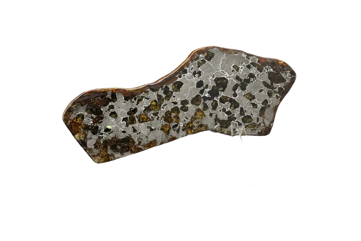 Gyarub Zangbo Ungrouped Pallasite 48.14g Slice, Tibet, MB 114 | TC