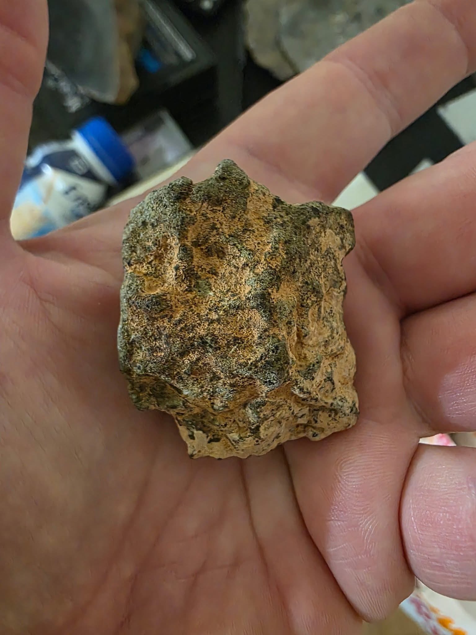 Martian Meteorites