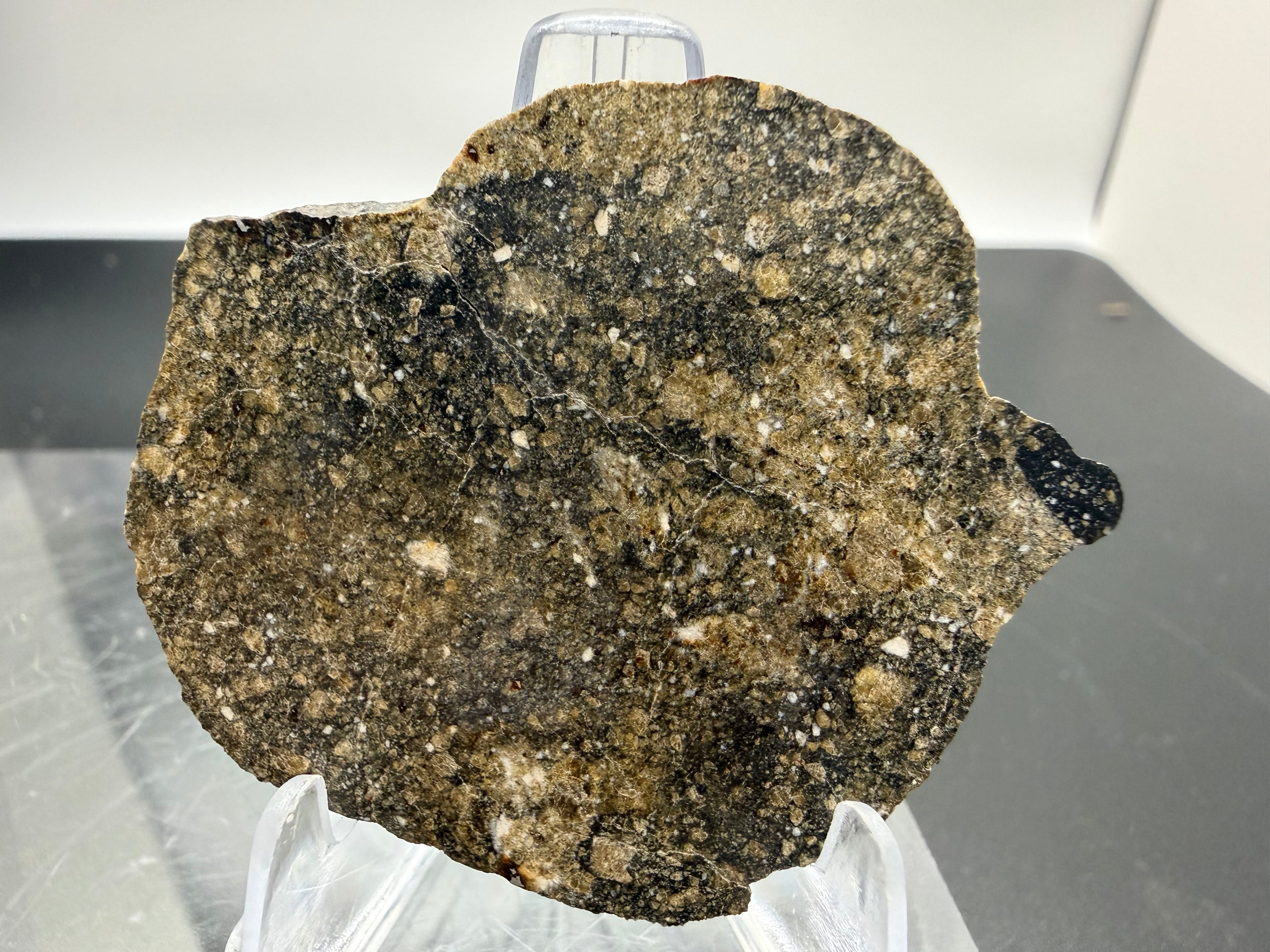 NWA 17918 diogenite meteorite slice showing orthopyroxene-rich texture (HED achondrite from asteroid Vesta)