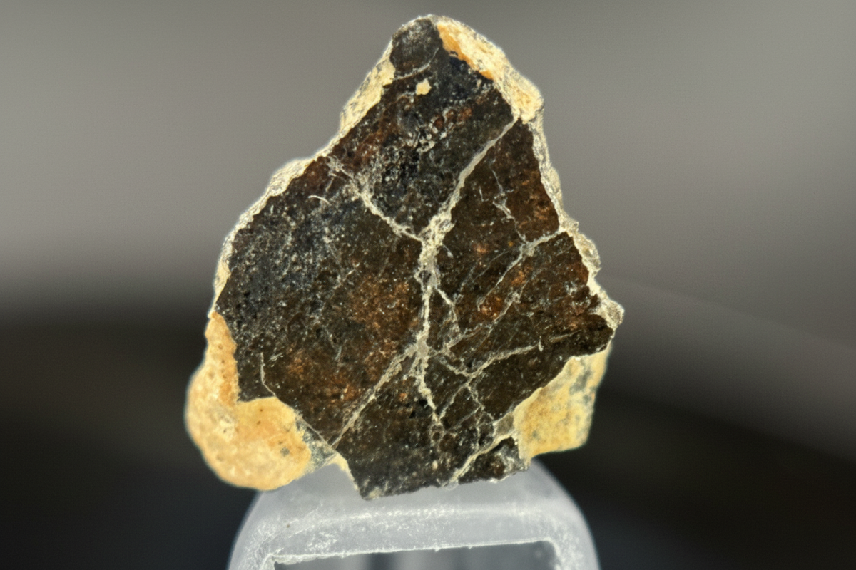 Collections – Treasure Coast Meteorite Co.