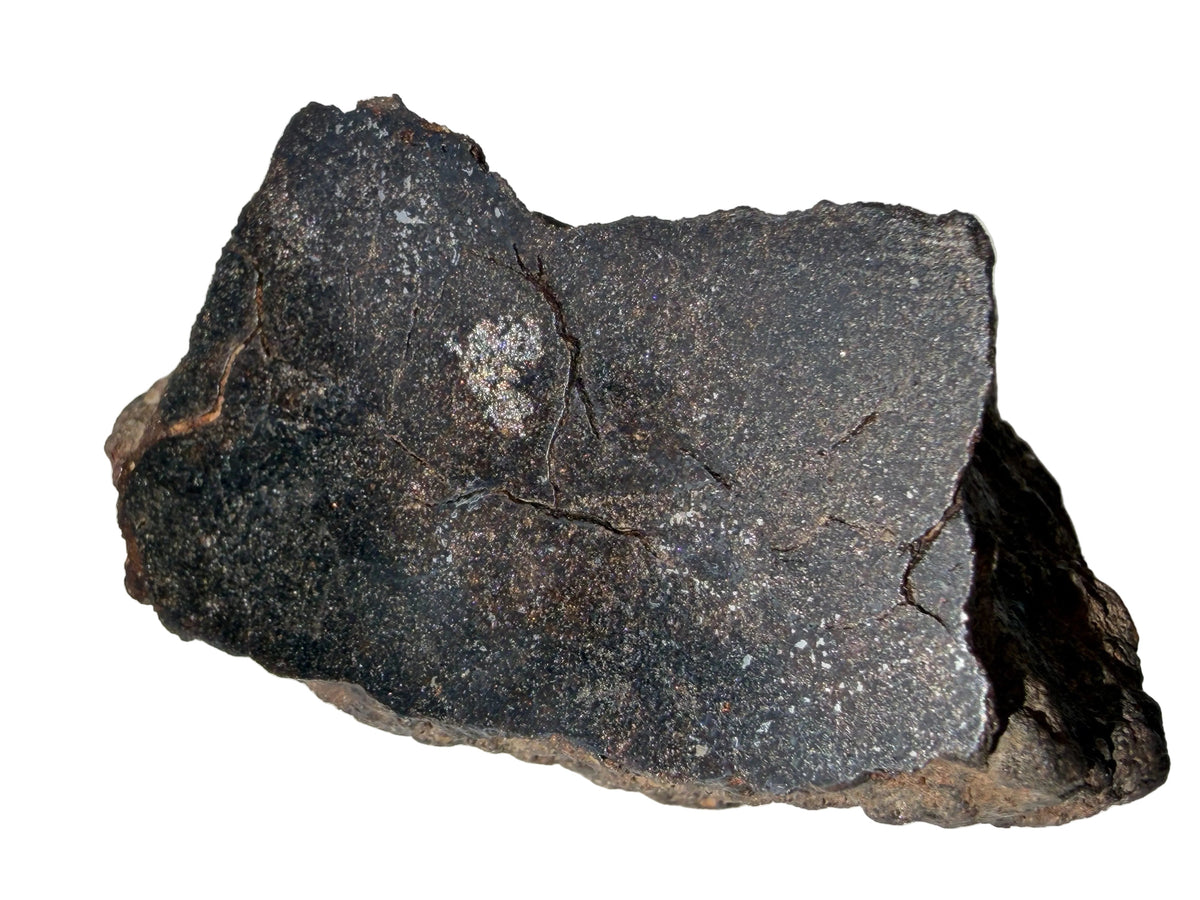 NWA 18593 winonaite meteorite, 279.74 g end cut, mirror polished face with metallic grains and weathering fractures, on a white background