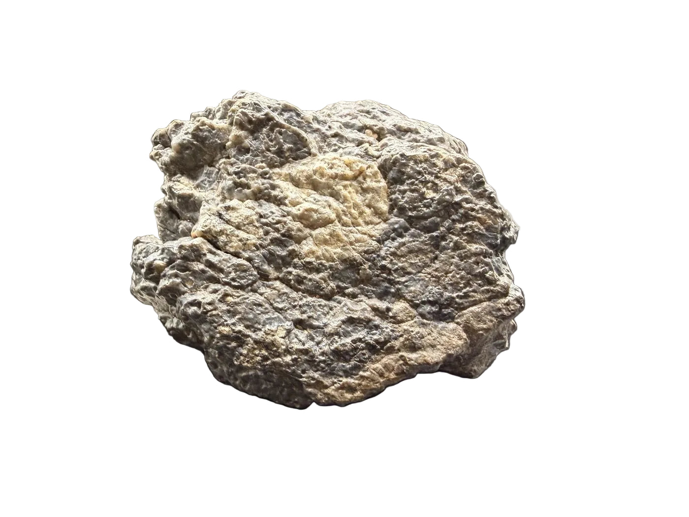 Laâyoune 002 lunar feldspathic breccia complete individual, 193.73g, gray highland stone with pale clasts shown on white background