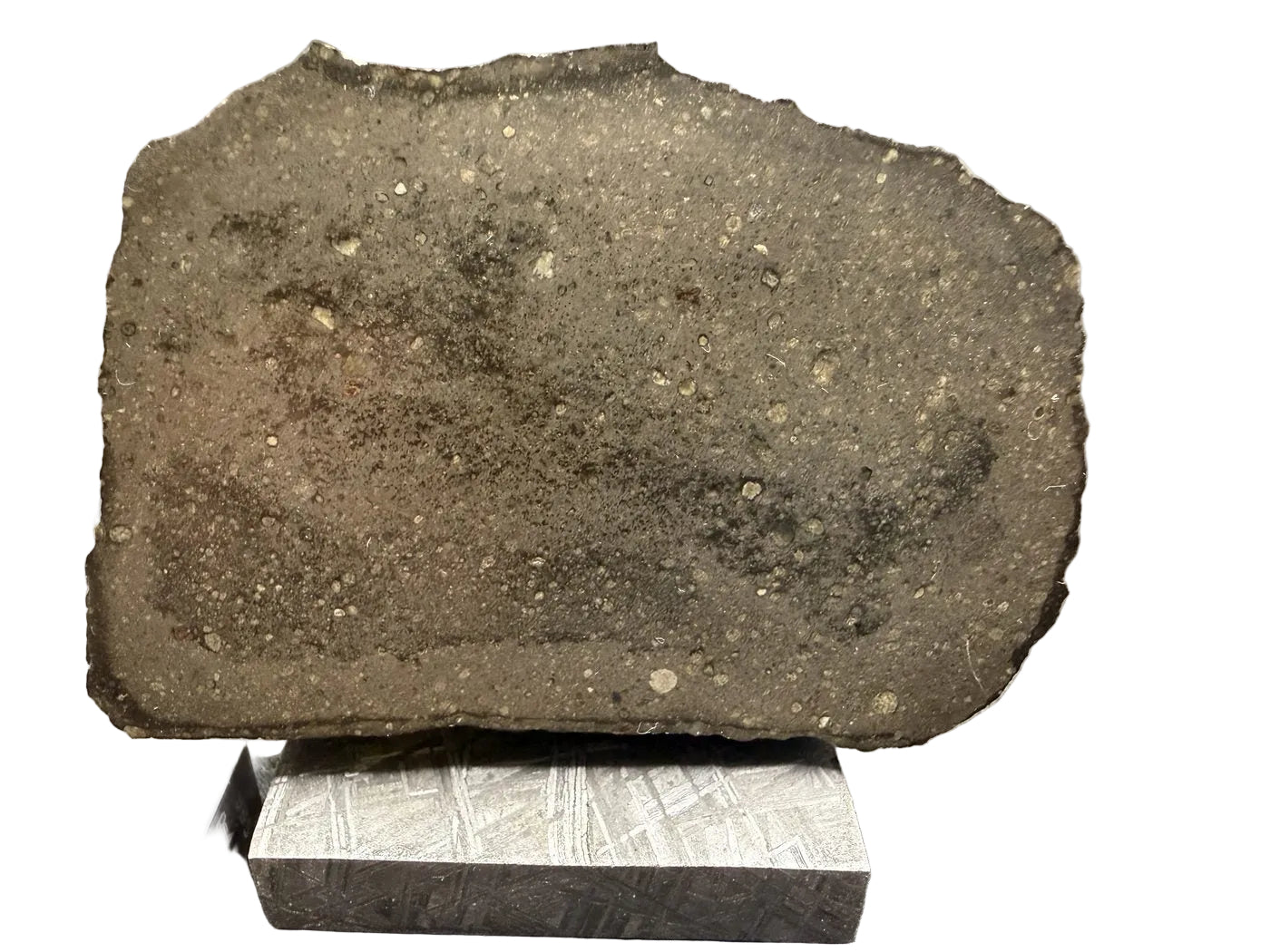 Cut face of the Sinawan 005 Rumuruti chondrite main mass, R5-6, 187.65g, showing chondrules in a fine matrix with scale bar