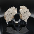 NEA 089 lunar meteorite matched pair, both mirror polished cut faces side by side with scale cube, 107.30 g total