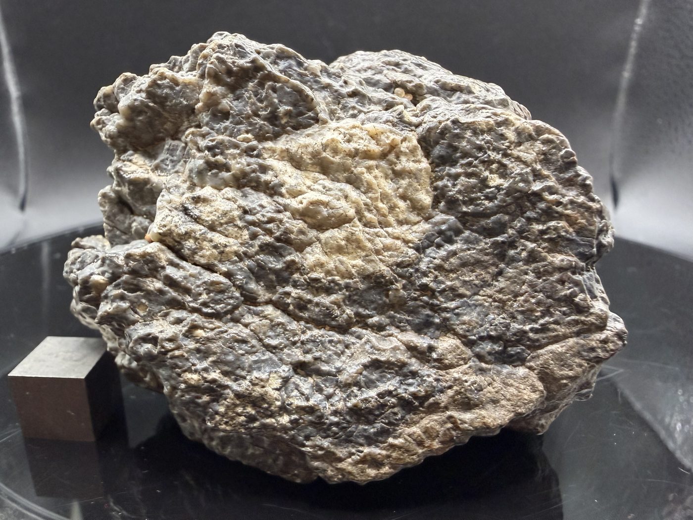 Exterior clast detail of the 193.73g Laâyoune 002 lunar meteorite showing anorthositic clasts in a finer grained matrix
