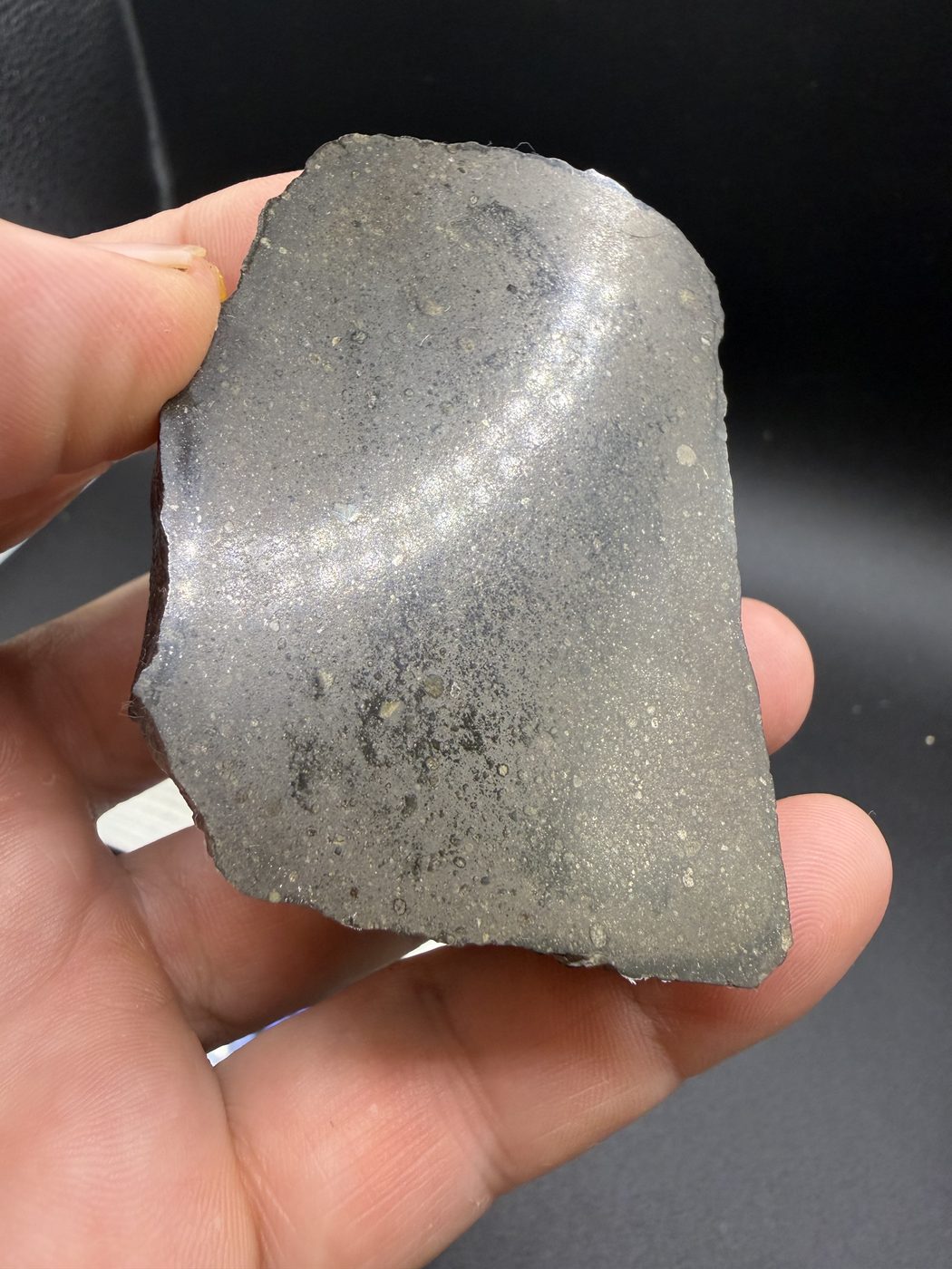 Polished cut face of the 187.65g Sinawan 005 R5-6 chondrite held in hand for scale