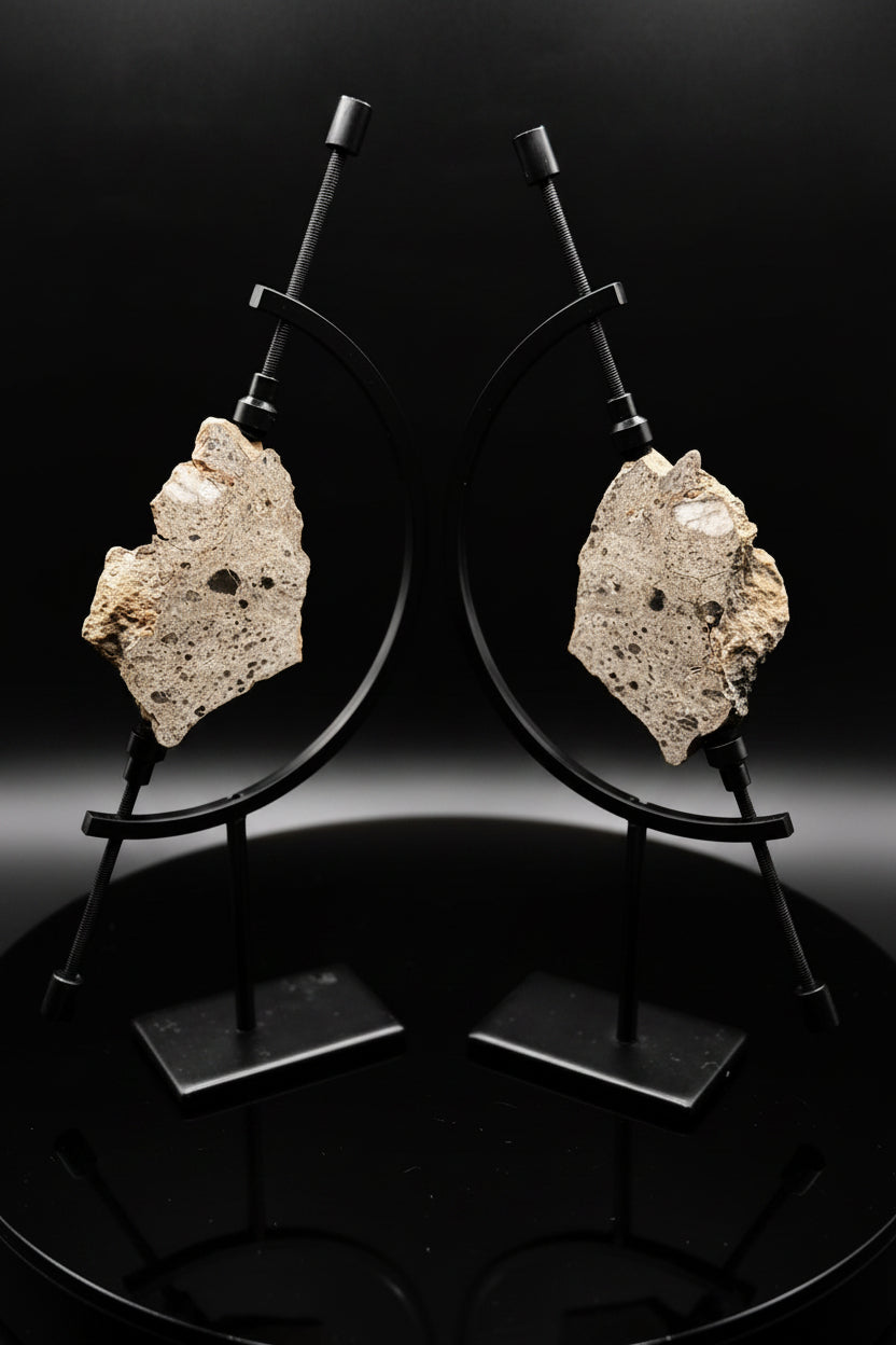 NEA 089 lunar meteorite, both halves on display stands showing the mirror polished cut faces