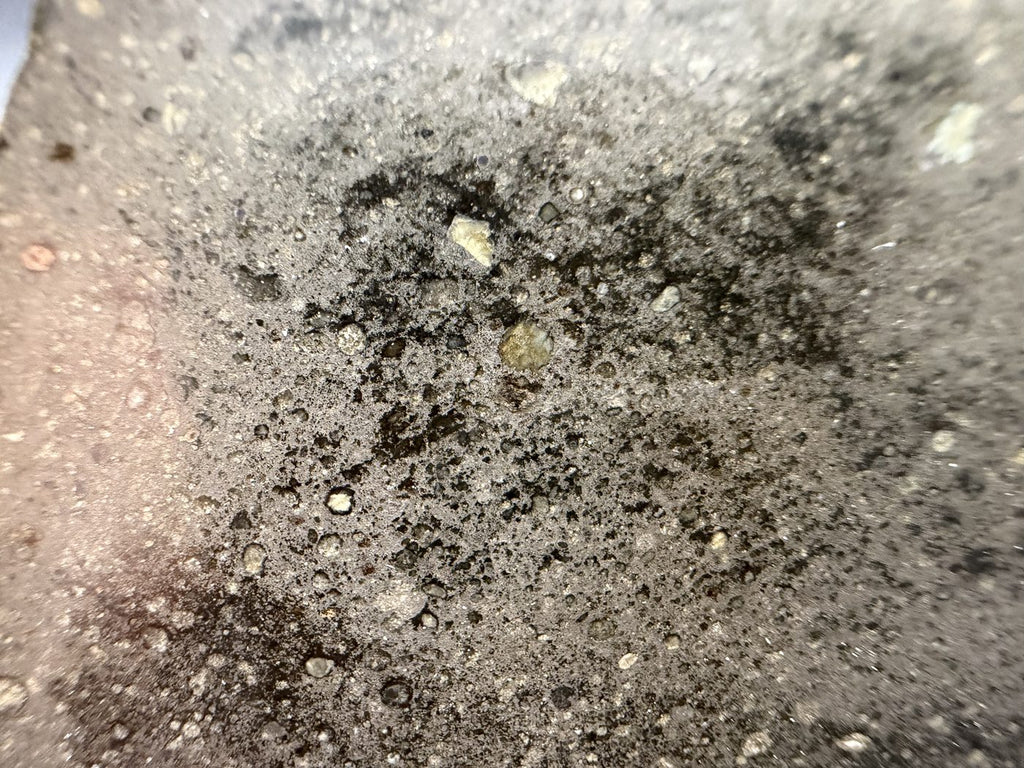 Chondrule detail on the cut face of Sinawan 005, showing individual chondrules and the boundary between two lithologies