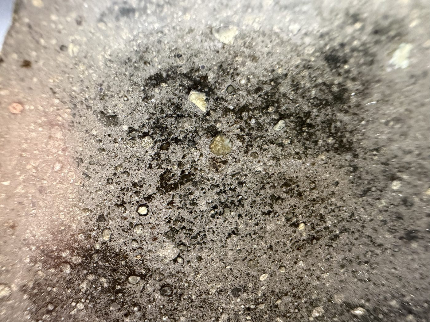 Chondrule detail on the cut face of Sinawan 005, showing individual chondrules and the boundary between two lithologies