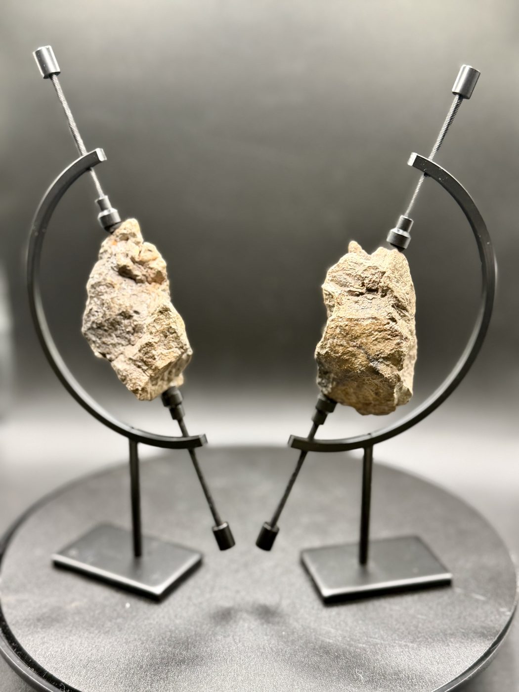 NEA 089 lunar meteorite, both halves on display stands showing the exterior surfaces