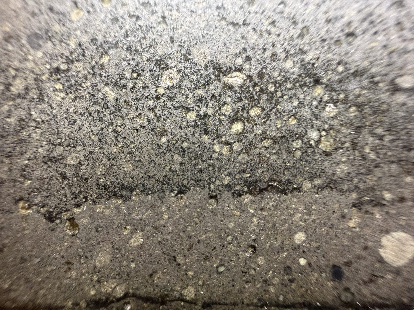 Two distinct lithologies meeting across the cut interior of the Sinawan 005 Rumuruti chondrite