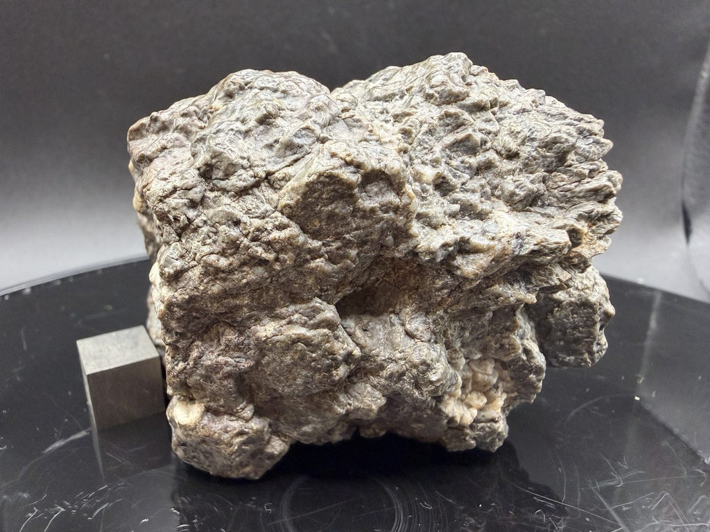 Reverse face of the Laâyoune 002 lunar feldspathic breccia, 193.73g, with clast distribution across the exterior