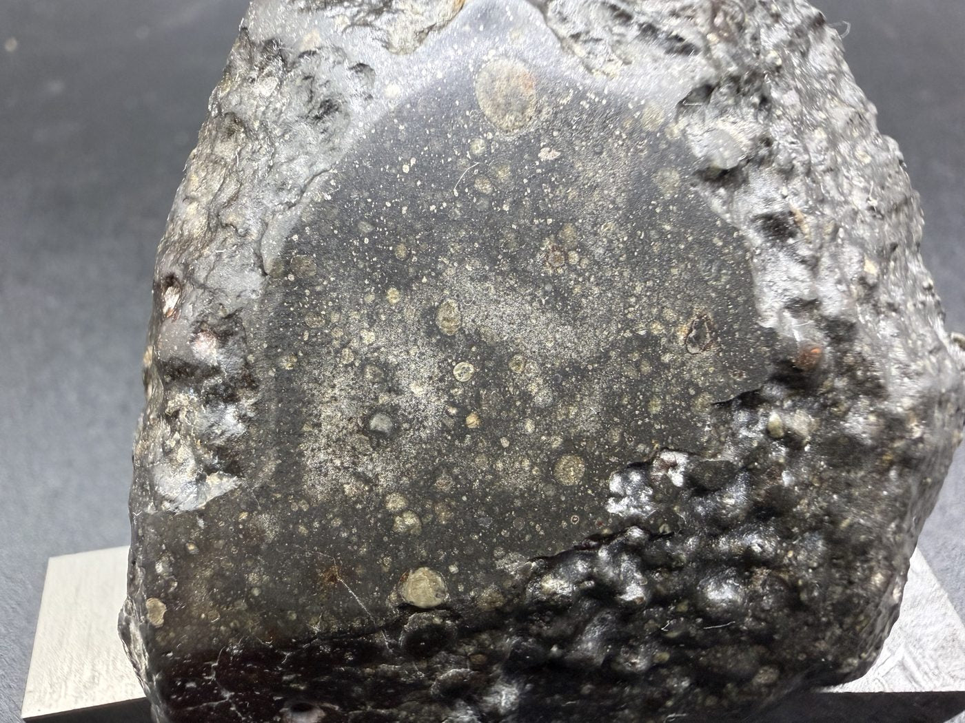 Cut face of Sinawan 005 meeting fusion crust along the edge of the 187.65g main mass