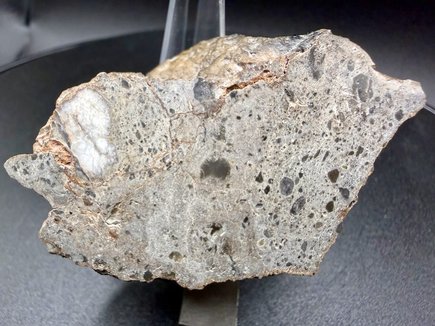 NEA 089 lunar meteorite, larger half, full mirror polished cut face, 59.15 g