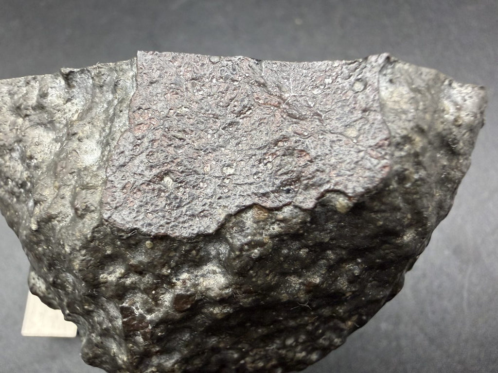 Detail of the fusion crust on the Sinawan 005 Rumuruti chondrite, 187.65g