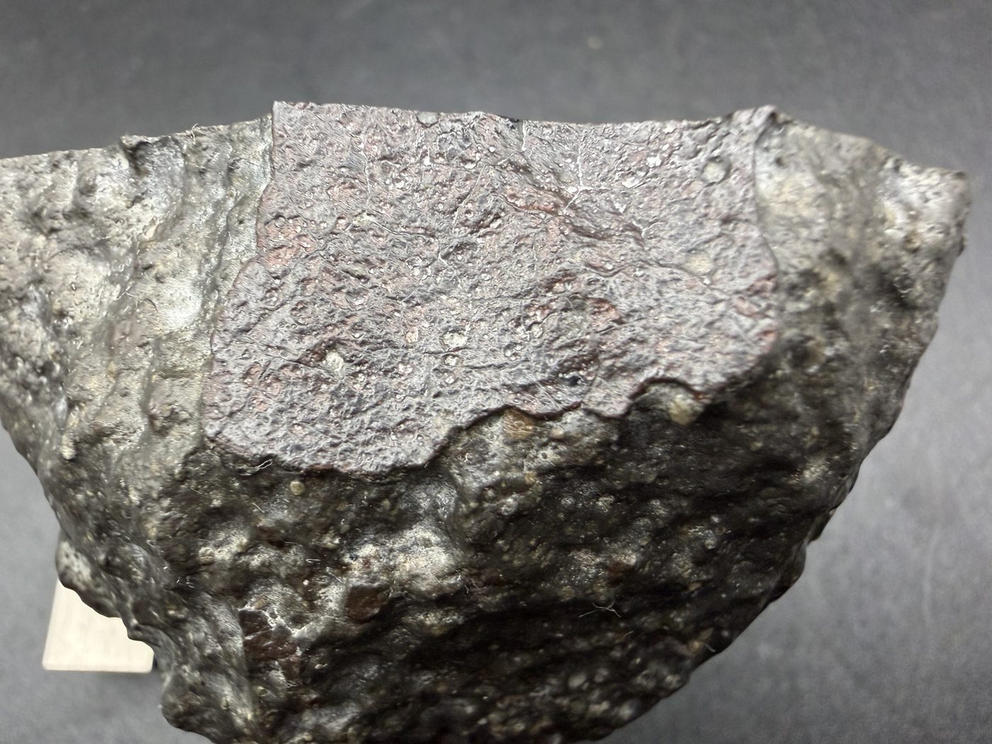 Detail of the fusion crust on the Sinawan 005 Rumuruti chondrite, 187.65g