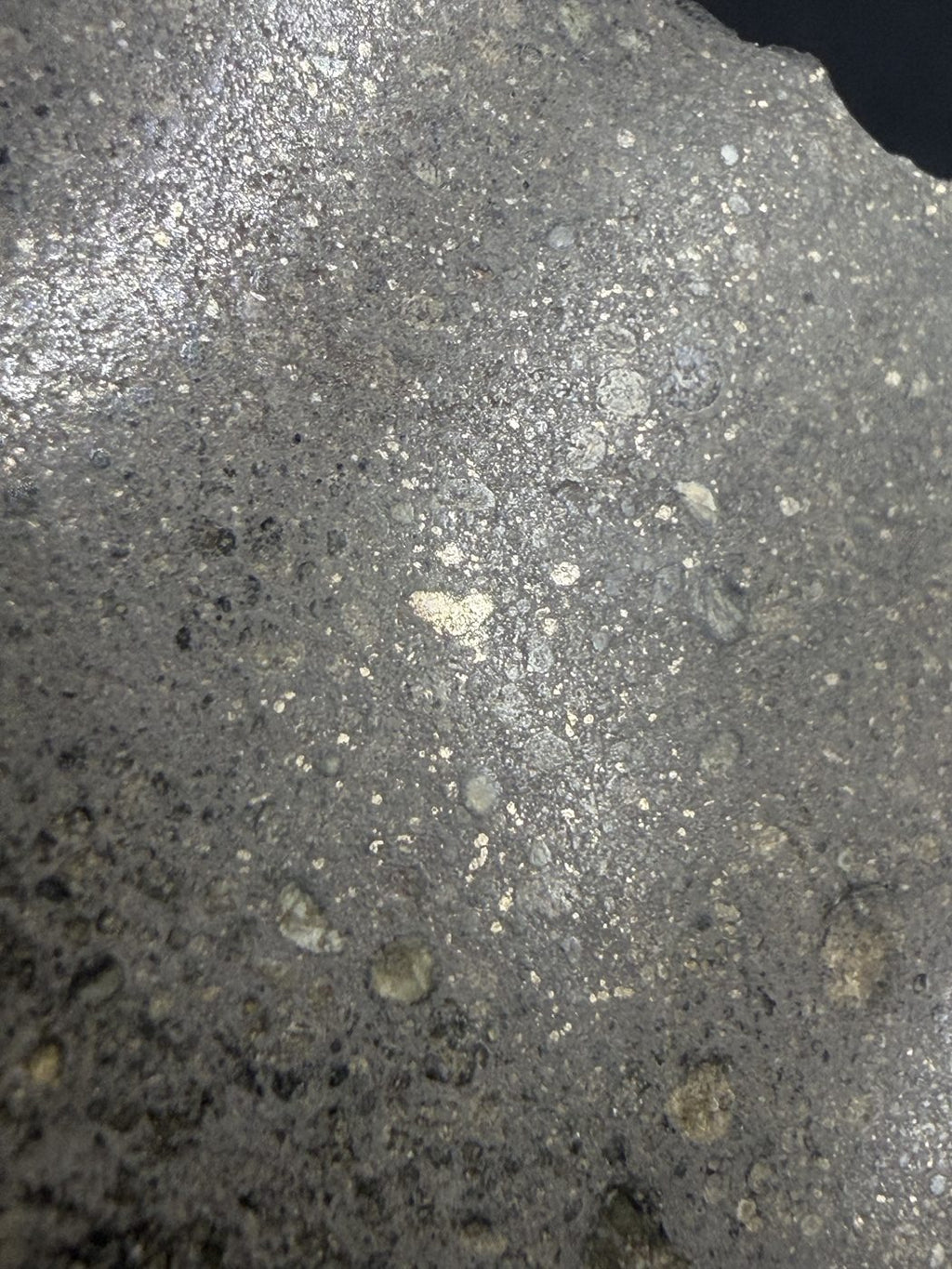 Interior surface detail of the 187.65g Sinawan 005 Rumuruti chondrite with visible chondrules
