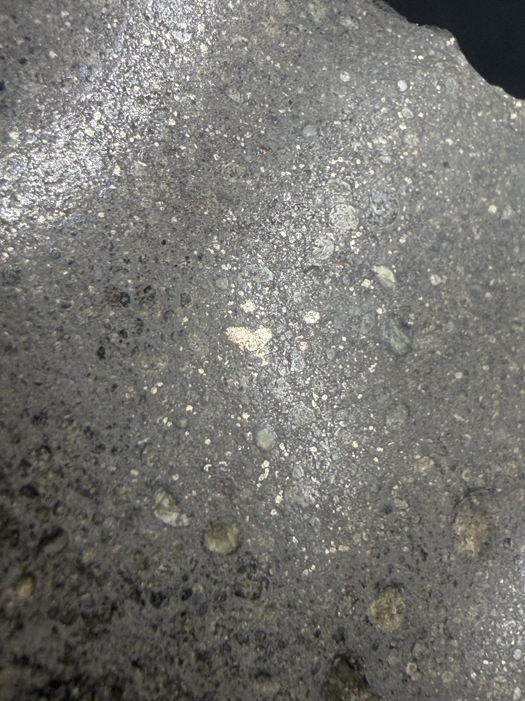 Interior surface detail of the 187.65g Sinawan 005 Rumuruti chondrite with visible chondrules