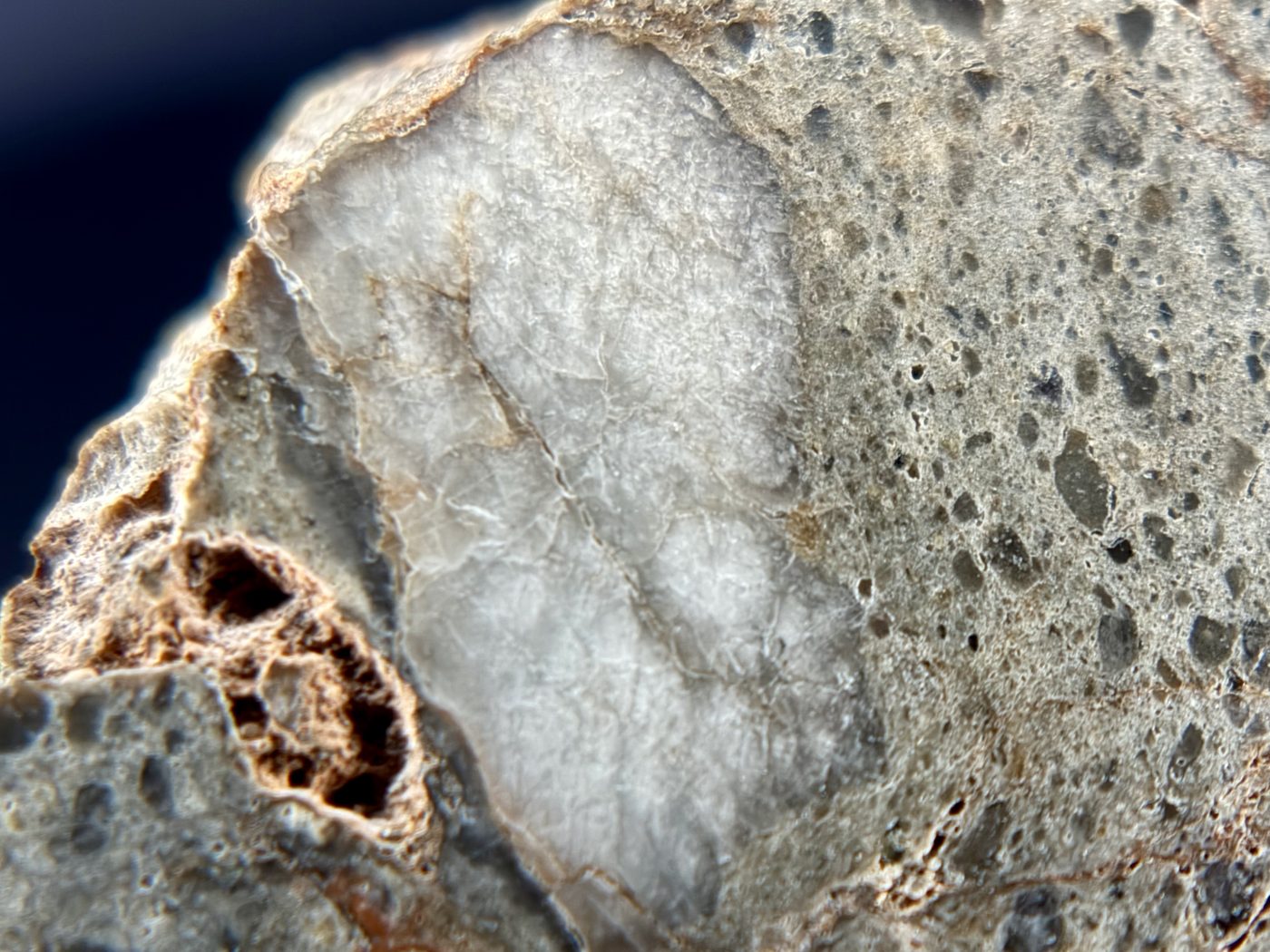 Pale lithic clast and vesicles in the polished face of NEA 089 lunar meteorite
