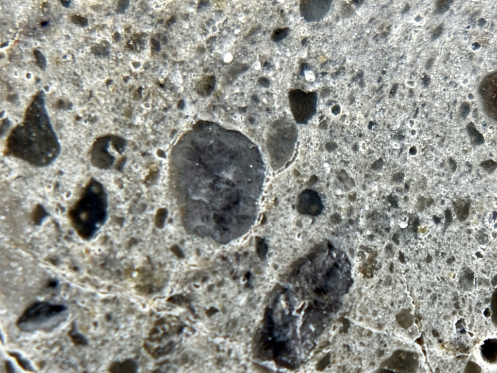 Clast field set in vesicular crystallized melt, NEA 089 lunar meteorite, larger half