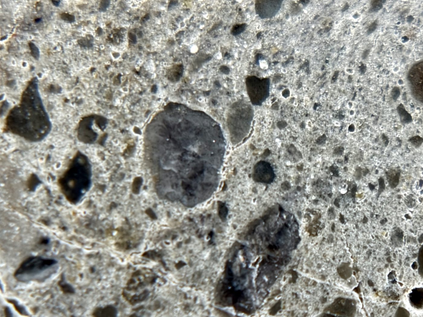 Clast field set in vesicular crystallized melt, NEA 089 lunar meteorite, larger half