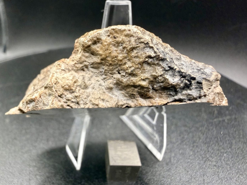 NEA 089 lunar meteorite, larger half, profile view showing thickness