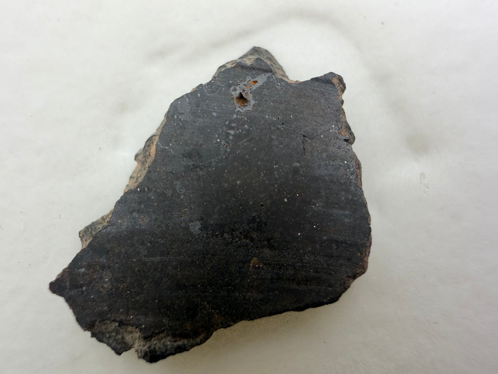 back side of rasa 005 meteorite close up slice