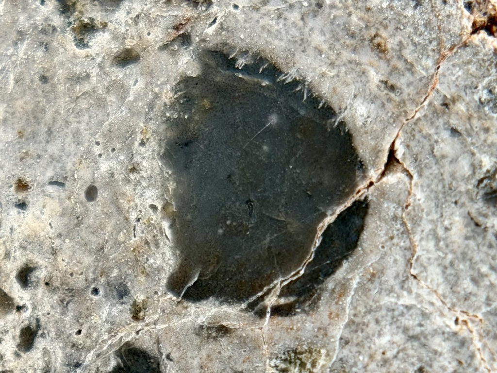 Large dark lithic clast in the polished face of NEA 089 lunar meteorite