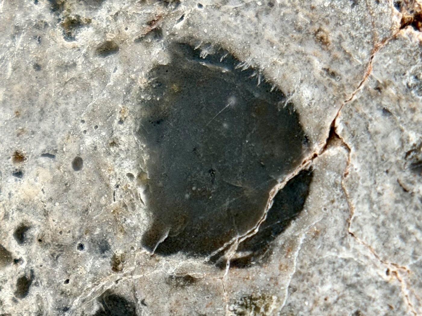 Large dark lithic clast in the polished face of NEA 089 lunar meteorite