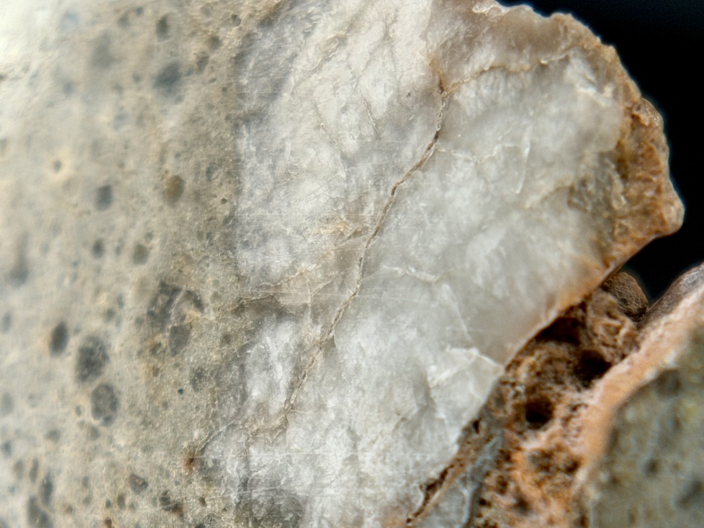 Pale banded clast at the edge of the polished face, NEA 089 lunar meteorite