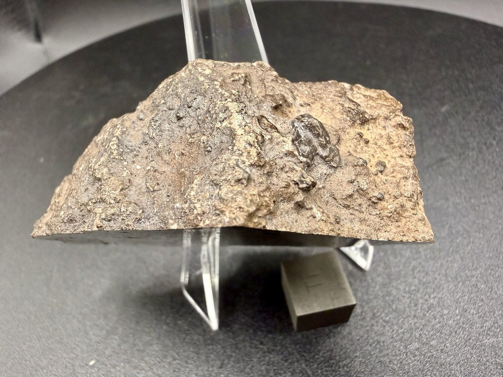 NEA 089 lunar meteorite, smaller half, profile with one centimetre scale cube