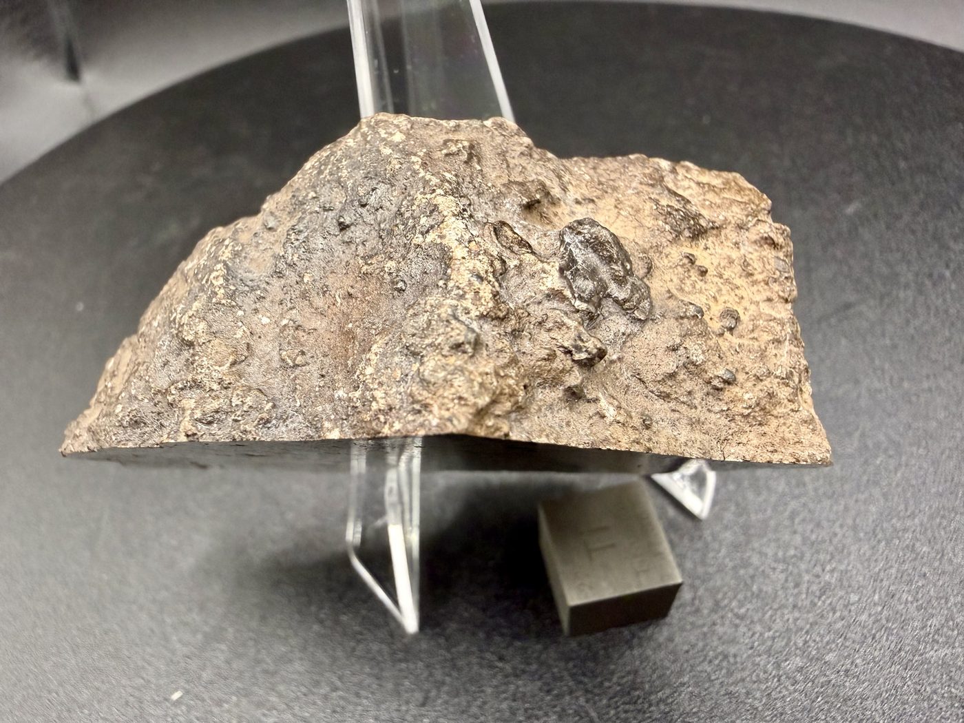 NEA 089 lunar meteorite, smaller half, profile with one centimetre scale cube