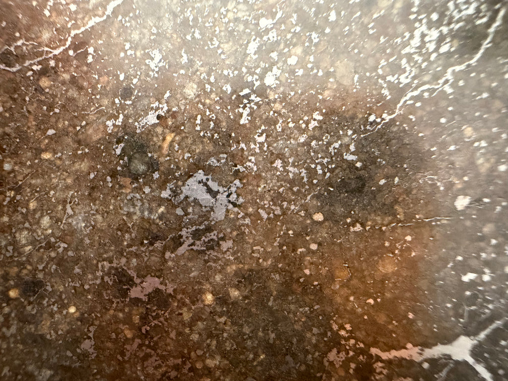 NWA 15468 ordinary chondrite 42.09g -- boundary detail between unmelted clastic material and impact-generated melt matrix