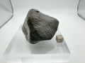 NWA XXX ordinary chondrite individual 313.16g, oriented with fusion crust window -- unclassified chondrite from Western Sahar