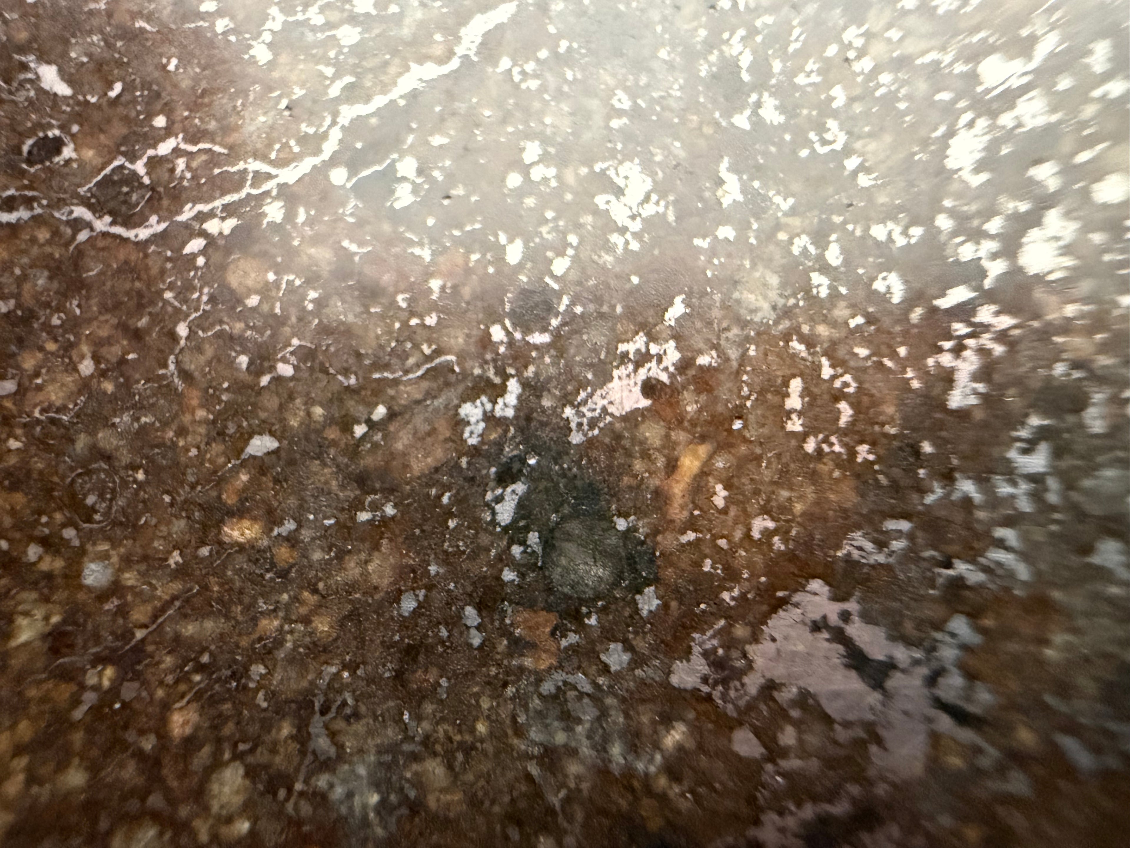 NWA 15468 OC4 slice 42.09g -- textural variation showing complete melting zones adjacent to relict chondritic fragments