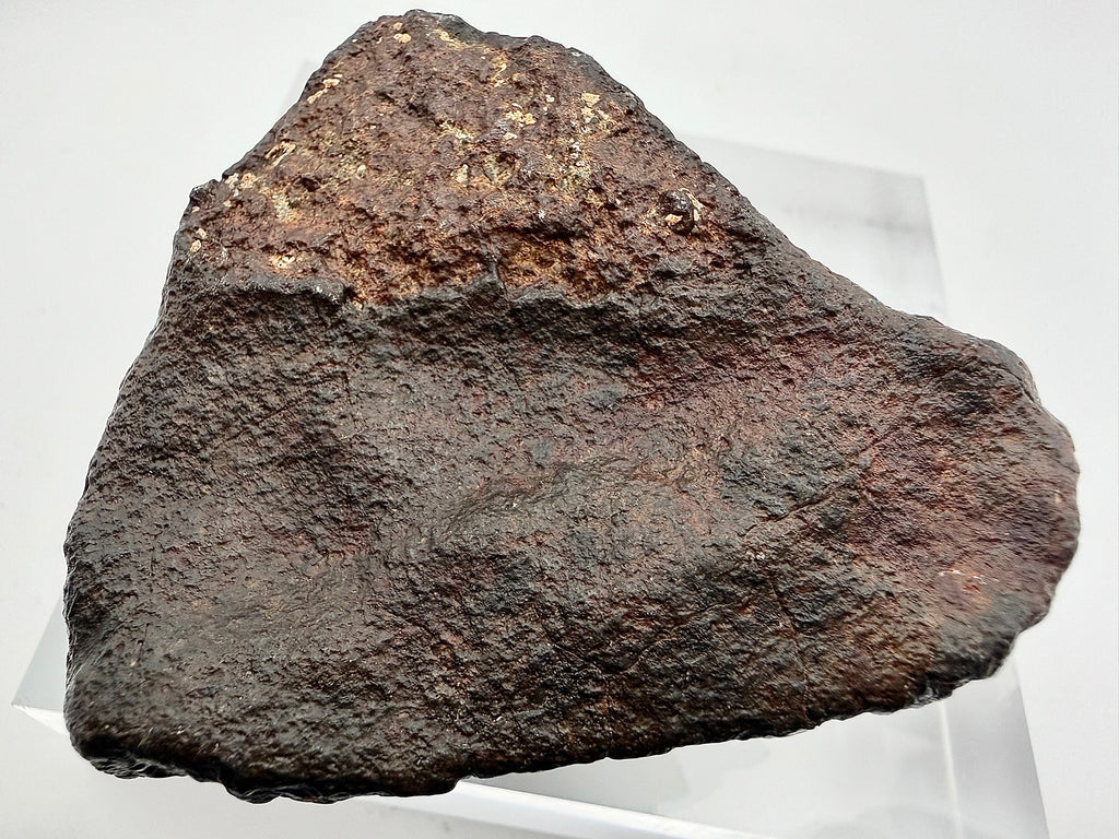 NWA XXX chondrite individual 316.40g -- profile view showing oriented shape and continuous fusion crust envelope