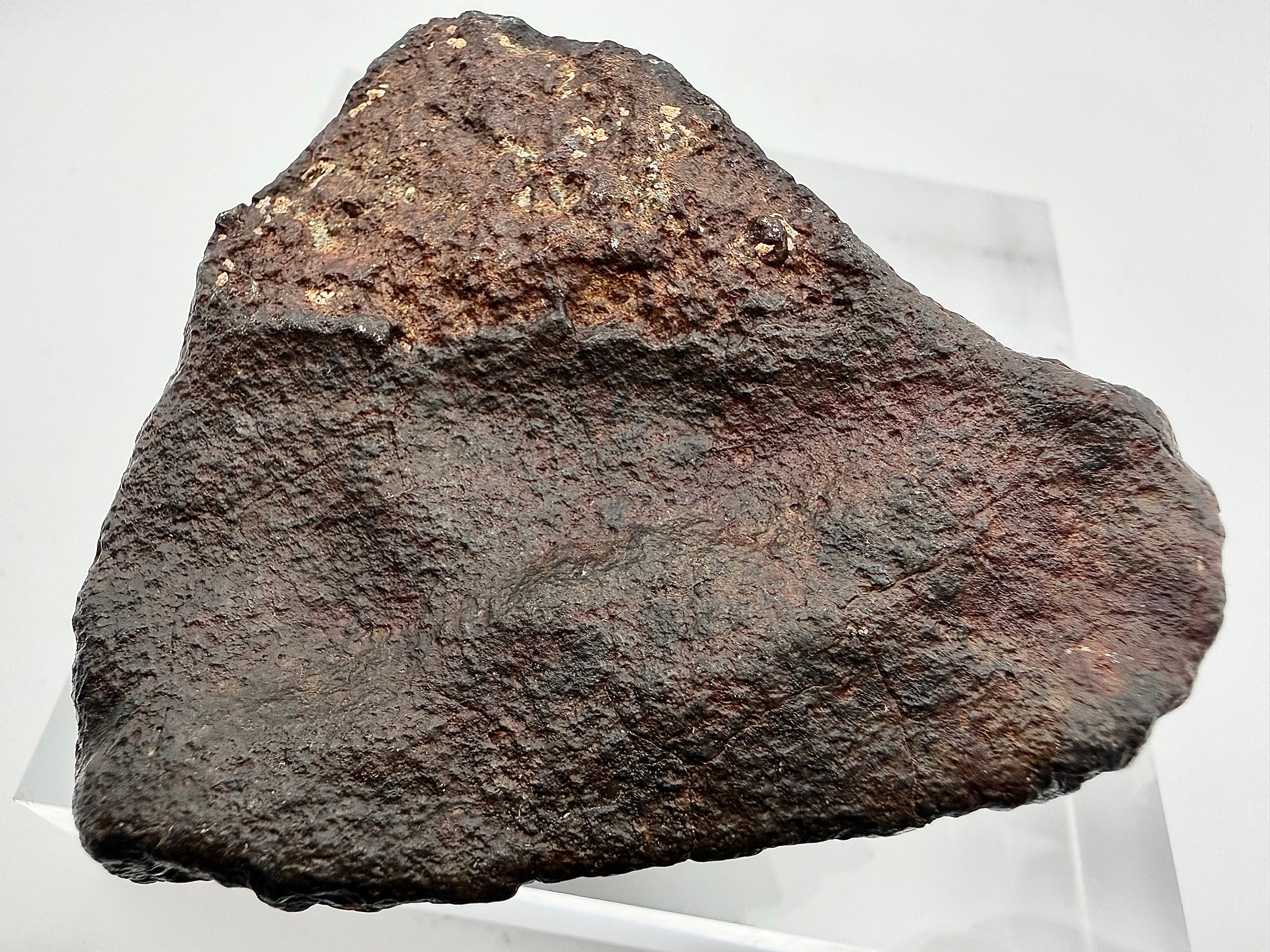 NWA XXX chondrite individual 316.40g -- profile view showing oriented shape and continuous fusion crust envelope