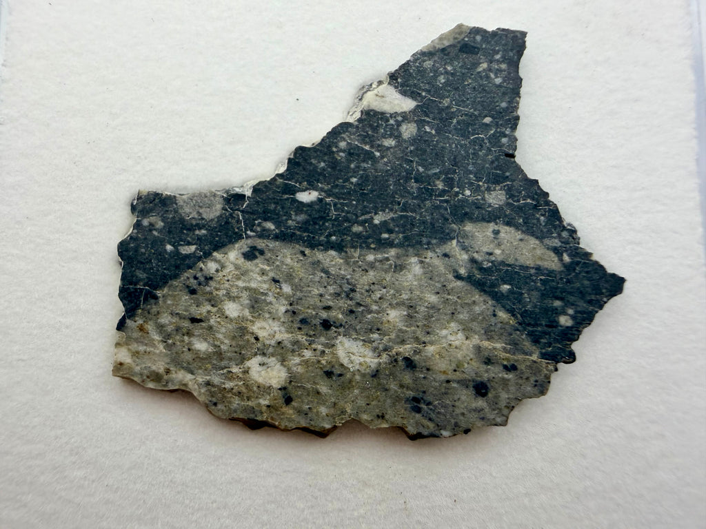 Rabt Sbayta 007 lunar meteorite 4.00g -- light-toned feldspar clasts in dark shock-melt matrix showing regolith brecciation