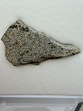 NWA 17708 howardite part slice 6.15g, sanded face -- HED achondrite from asteroid 4 Vesta, Treasure Coast Meteorite Co.