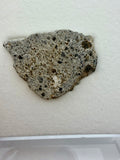 NWA 17708 howardite achondrite meteorite part slice 4.24g with fusion crust -- HED specimen from asteroid Vesta, Treasure Coa