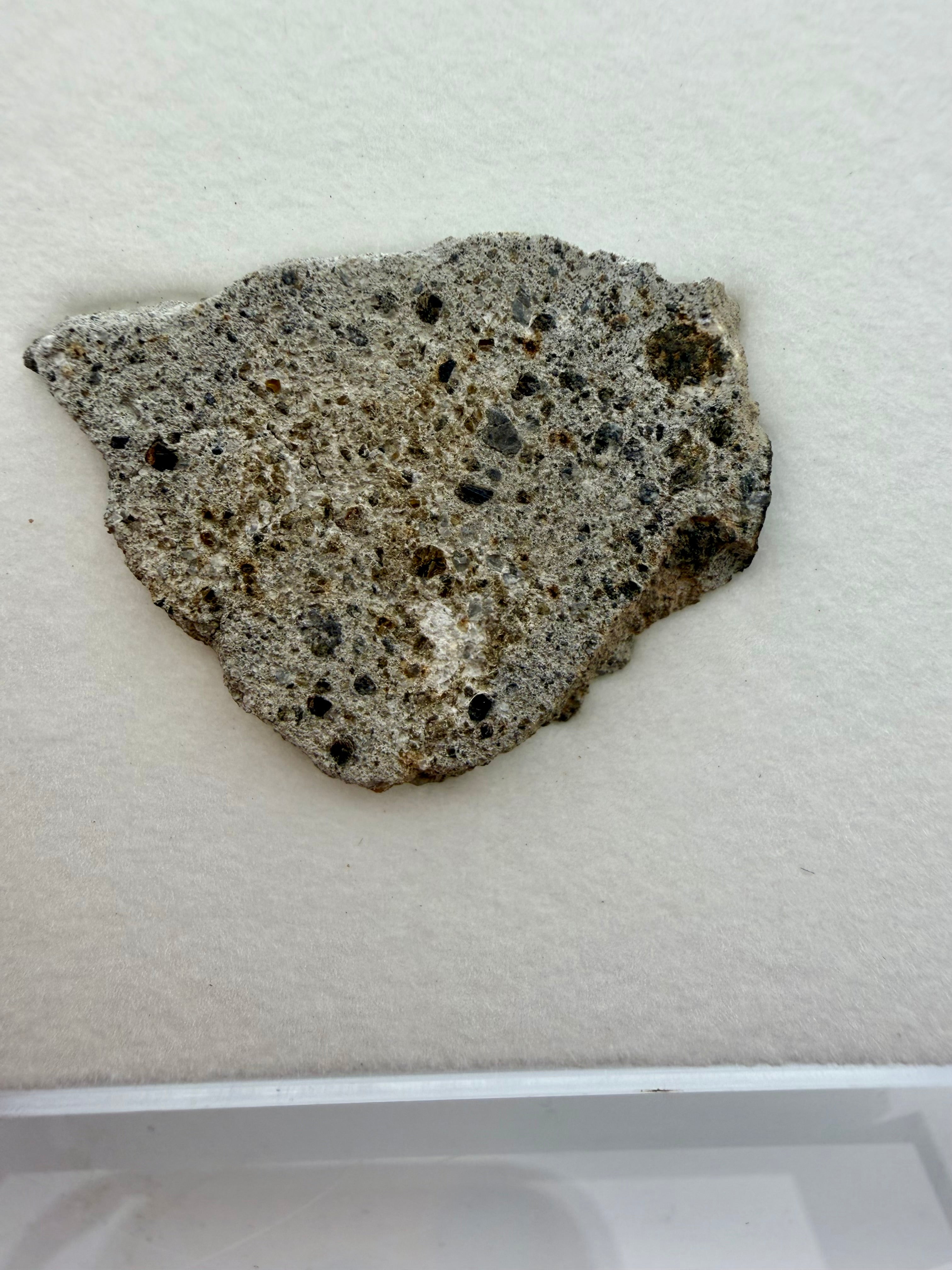 NWA 17708 howardite achondrite meteorite part slice 4.24g with fusion crust -- HED specimen from asteroid Vesta, Treasure Coa