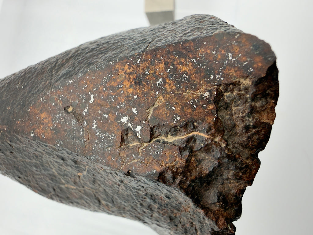 NWA XXX chondrite 313.16g -- trailing edge fusion crust and orientation geometry detail