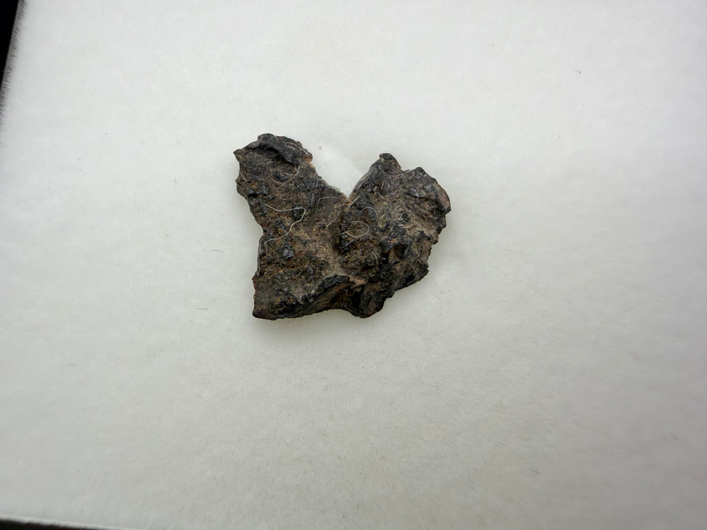 Rafsa 005 angrite meteorite 0.70g -- dark matrix with visible mineral grain boundaries from slow cooling at depth