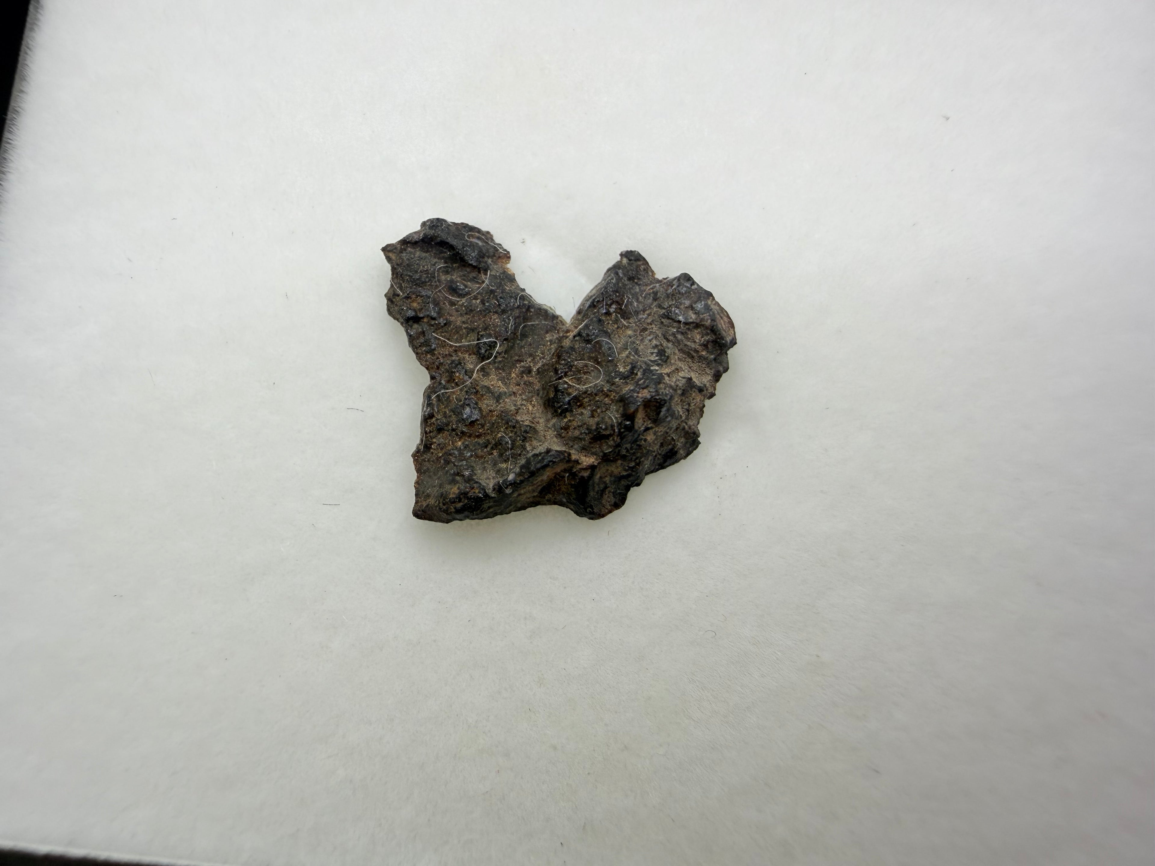 Rafsa 005 angrite meteorite 0.70g -- dark matrix with visible mineral grain boundaries from slow cooling at depth