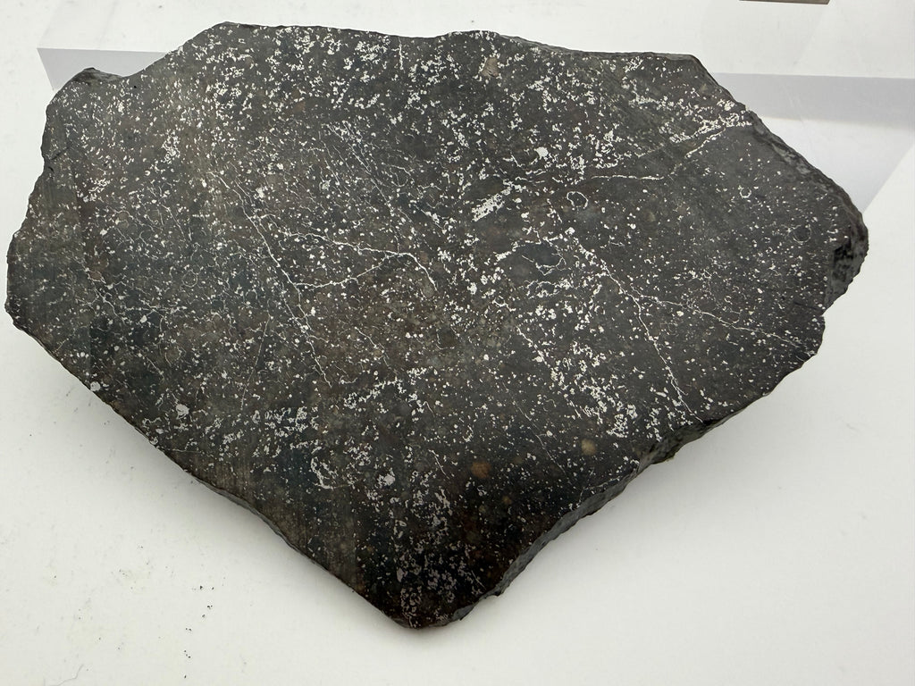 NWA 15468 melt breccia meteorite 42.09g -- polished surface revealing shock darkening and recrystallization patterns in matri