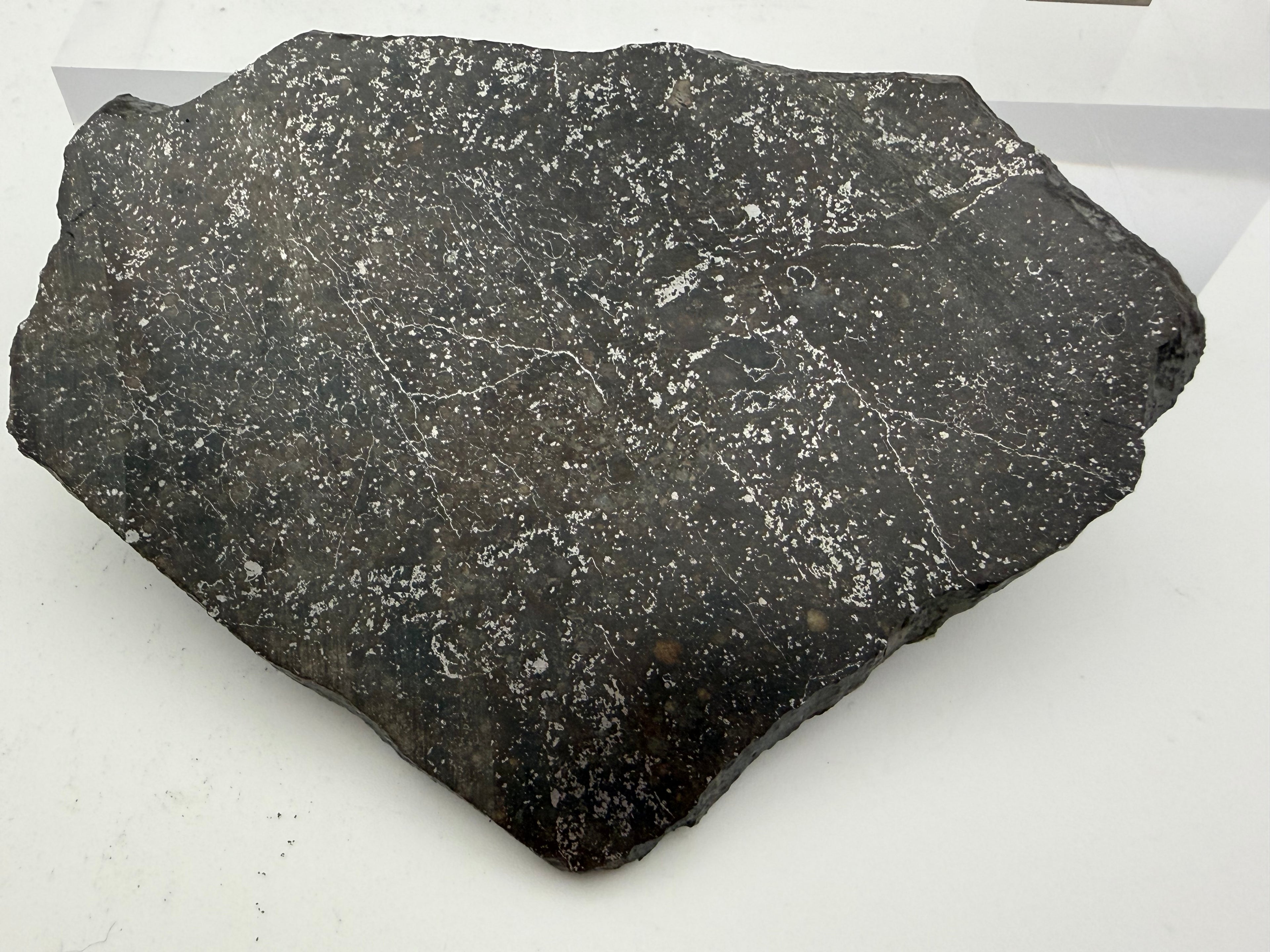 NWA 15468 melt breccia meteorite 42.09g -- polished surface revealing shock darkening and recrystallization patterns in matri