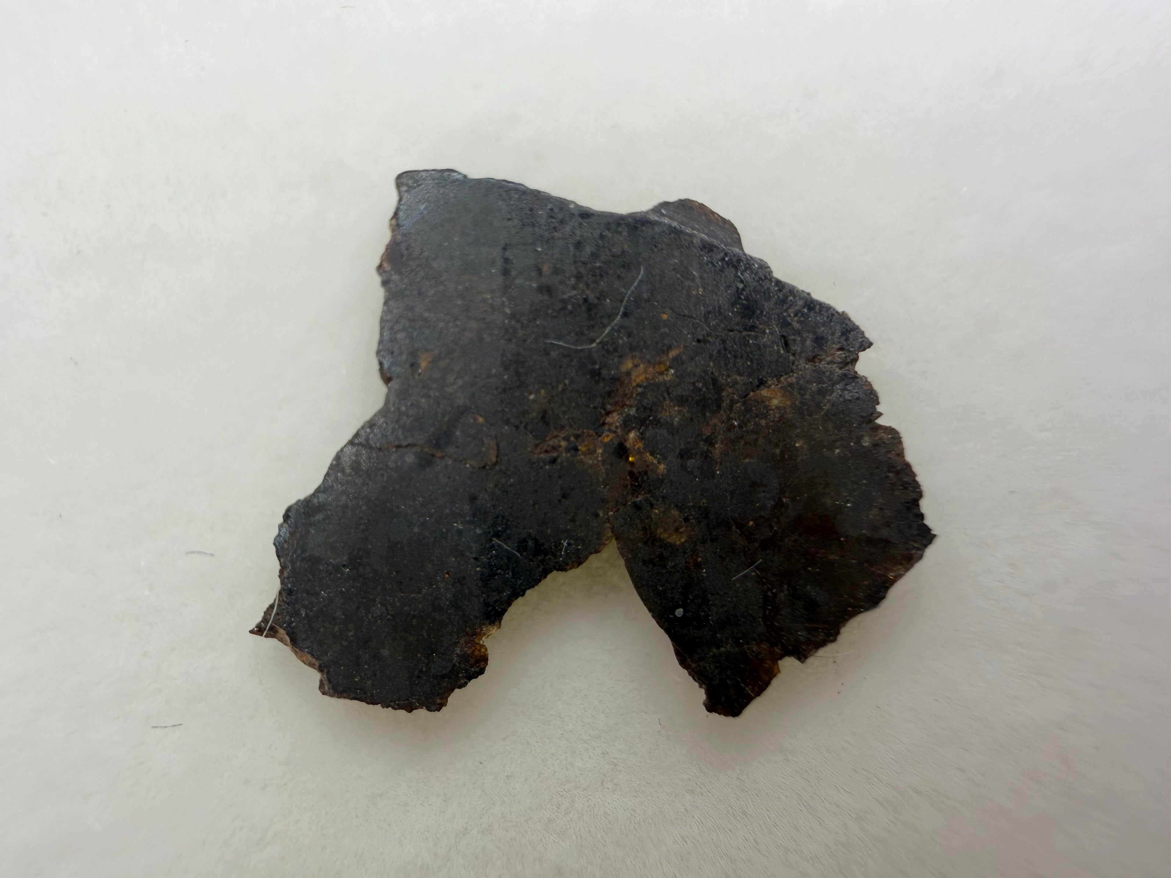 Rafsa 005 plutonic angrite 0.70g -- coarse-grained igneous texture showing large pyroxene and olivine crystals