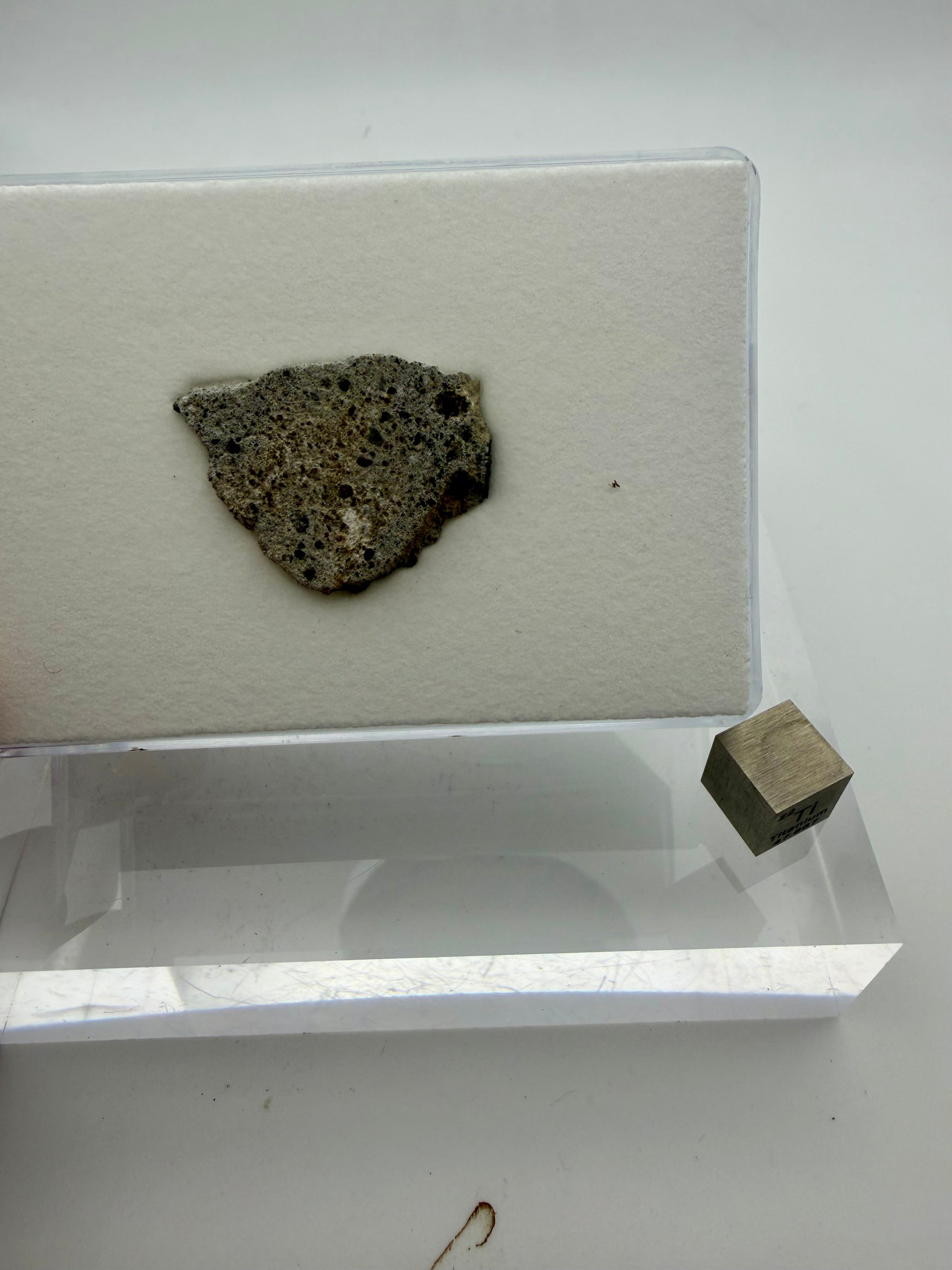 NWA 17708 howardite 4.24g -- brecciated clast structure and mixed lithology matrix on sanded face