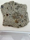 NWA 17708 howardite part slice 12.00g, fusion crust preserved -- HED achondrite from asteroid 4 Vesta, Treasure Coast Meteori