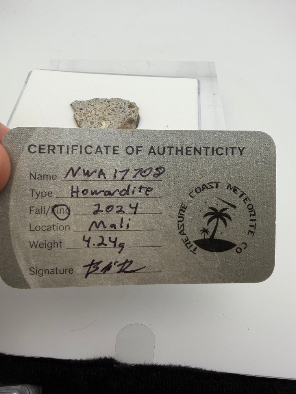 NWA 17708 howardite meteorite 4.24g -- fresh black fusion crust covering approximately 50% of edge surface